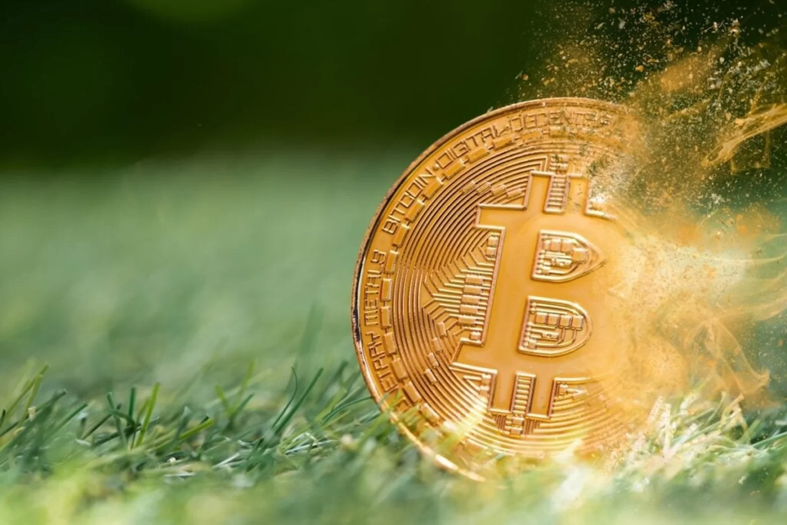 Bitcoin digital cryptocurrency losing va